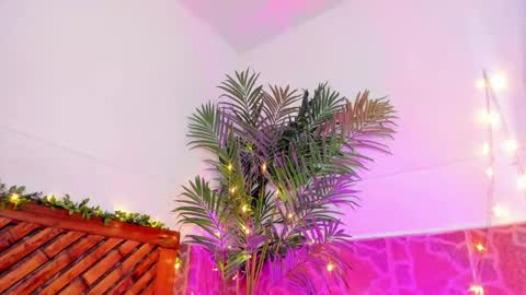 Snapshot of kimberly_gonzalez1 chatting on January 2025 06:45:02 AM kimberly gonzalez online show from January 2025 06:45:02 AM