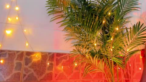 Snapshot of kimberly_gonzalez1 chatting on January 2025 03:45:01 AM kimberly gonzalez online show from January 2025 03:45:01 AM