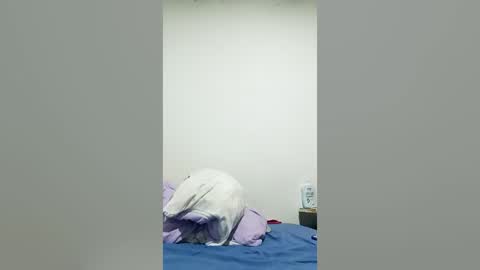 kimi online show from July 2026 01:55:02 AM