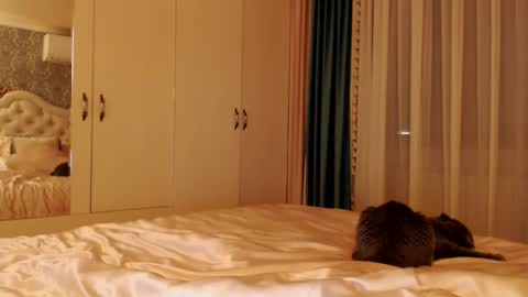 Snapshot of kimlee4 chatting on December 2024 07:14:02 PM Kim Lee online show from December 2024 07:14:02 PM