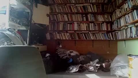 kindhate01 online show from February 2026 09:38:01 AM