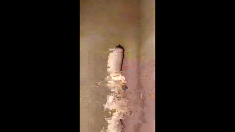 kini8278 online show from February 2026 01:56:02 PM