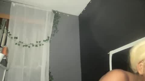 Snapshot of kinkykittee chatting on February 2025 03:46:02 AM Bunniii online show from February 2025 03:46:02 AM