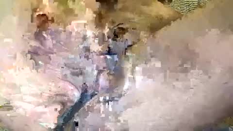 Xoxxxo online show from January 2025 03:39:02 PM