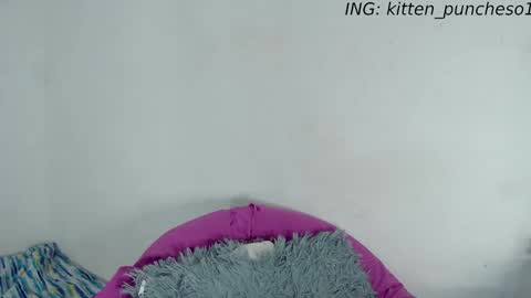 Snapshot of kitten_punches01 chatting on September 2025 02:39:02 AM kitten_punches01 online show from September 2025 02:39:02 AM