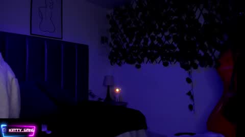 Snapshot of kitty_gang chatting on November 2025 02:31:02 AM Camila online show from November 2025 02:31:02 AM