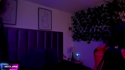 Snapshot of kitty_gang chatting on November 2025 01:33:02 AM Camila online show from November 2025 01:33:02 AM