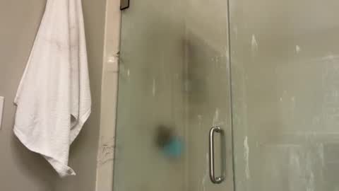 kittypurr79 online show from January 2025 12:02:01 AM