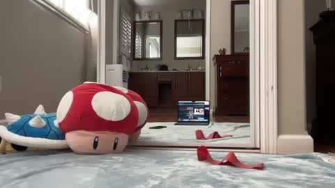 kittypurr79 online show from January 2025 09:04:02 PM