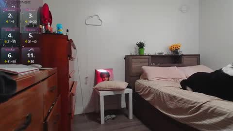 Kittyymaze online show from December 2024 01:43:01 PM