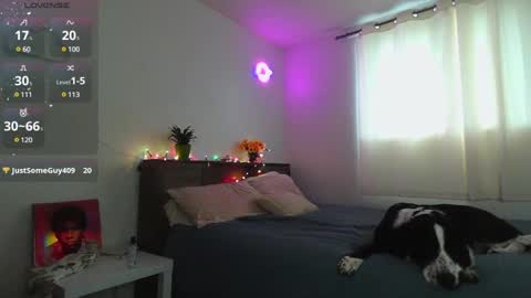 Kittyymaze online show from December 2024 01:28:01 PM