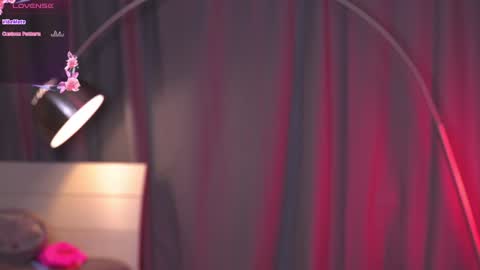 Snapshot of kity_paw chatting on December 2024 02:42:01 AM Zendaya online show from December 2024 02:42:01 AM