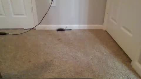 Snapshot of kkristy07 chatting on February 2026 02:56:01 AM kkristy07 online show from February 2026 02:56:01 AM