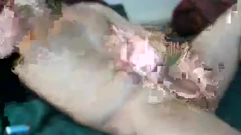 kloeyhoottoyboy online show from March 2026 01:54:02 AM