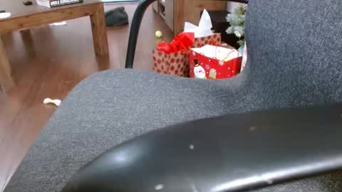 Snapshot of klok6187 chatting on December 2024 04:01:02 AM klok6187 online show from December 2024 04:01:02 AM