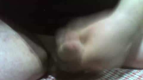 klok8230 online show from February 2026 08:51:01 PM