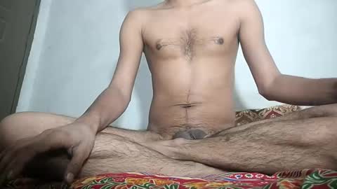 Snapshot of knightrider5566 chatting on January 2025 06:17:01 AM Harry online show from January 2025 06:17:01 AM