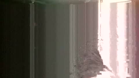 knock2wice1975 online show from January 2025 12:33:01 PM