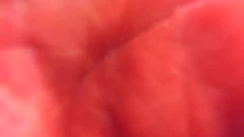 Snapshot of kobayaske chatting on February 2025 12:15:01 AM kobayaske online show from February 2025 12:15:01 AM