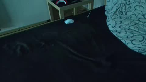 Snapshot of kokotko1234rr chatting on January 2026 12:03:01 AM Andy online show from January 2026 12:03:01 AM