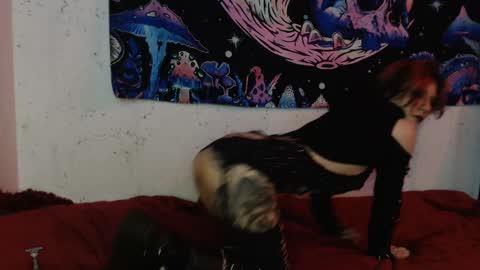 Snapshot of konekokawai chatting on February 2025 07:38:02 PM konekokawai online show from February 2025 07:38:02 PM