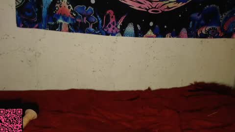 Snapshot of konekokawai chatting on February 2025 11:15:01 PM konekokawai online show from February 2025 11:15:01 PM