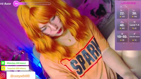 Snapshot of koreandollts chatting on May 2026 05:24:01 AM MISS ALICIA online show from May 2026 05:24:01 AM