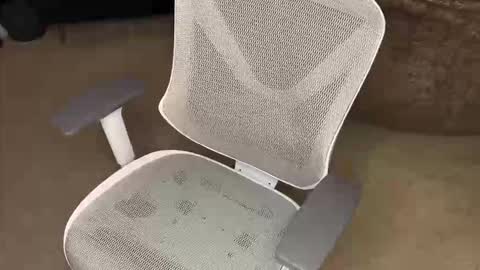 Snapshot of koryoncam chatting on December 2025 09:58:02 AM your hairy neighbor online show from December 2025 09:58:02 AM