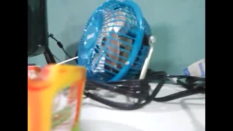 Koto Bombon online show from December 2024 03:01:02 AM