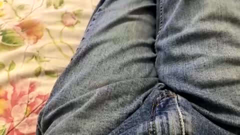 kpcloud255498 online show from February 2025 02:12:01 AM