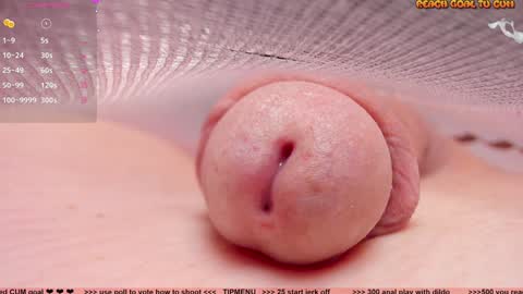 Petra online show from December 2024 07:10:01 PM