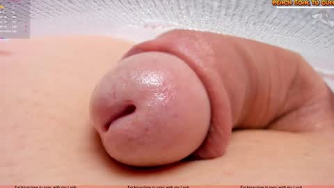 Petra online show from November 2025 07:58:01 PM