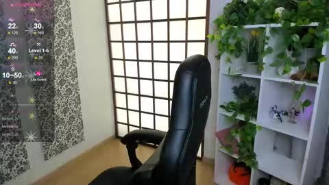 Kristi online show from February 2025 11:36:01 AM