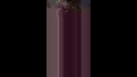 kteewilds online show from March 2026 11:04:01 AM