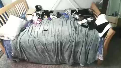 kulinky6969 online show from December 2025 11:58:02 AM