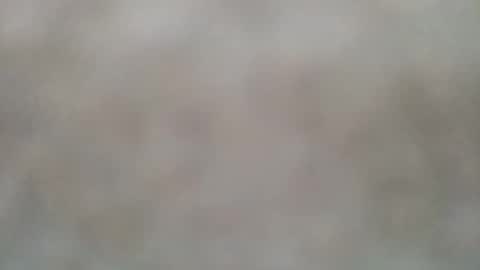 Snapshot of laceyflower chatting on January 2025 07:31:01 PM laceyflower online show from January 2025 07:31:01 PM