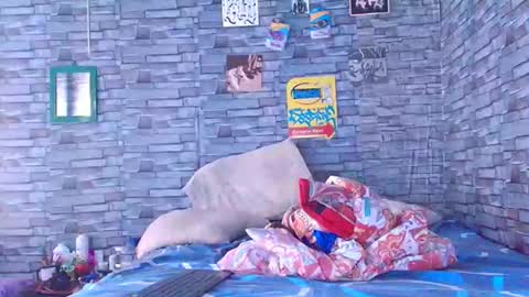 Lady godss online show from December 2025 07:08:02 PM