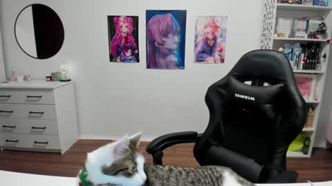 Snapshot of lain__ chatting on December 2024 06:31:02 PM Kira online show from December 2024 06:31:02 PM