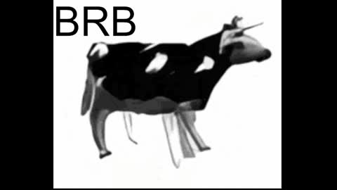 just call me Lana  and her security online show from January 2025 05:19:01 PM