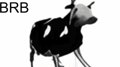 just call me Lana  and her security online show from February 2025 02:15:01 PM