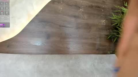 Snapshot of lana_lann chatting on February 2026 04:04:01 PM lana_lann online show from February 2026 04:04:01 PM