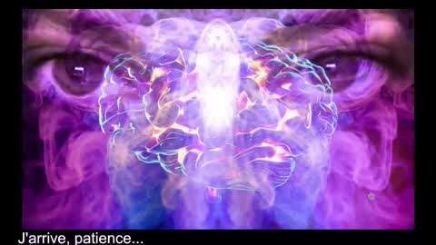 Lana The Virus online show from December 2025 11:37:01 AM