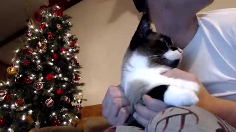 Snapshot of lancehardin chatting on December 2024 01:04:02 AM Lance online show from December 2024 01:04:02 AM