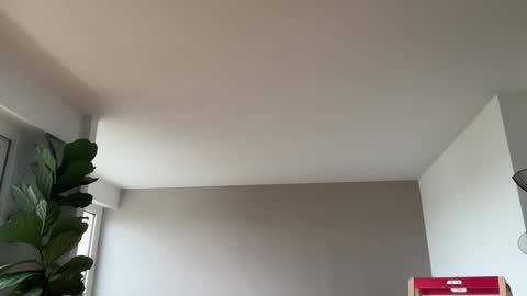 Snapshot of lanimalr chatting on October 2025 08:00:01 AM Lanimal online show from October 2025 08:00:01 AM