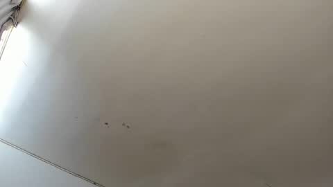 Lara online show from October 2025 03:44:01 PM