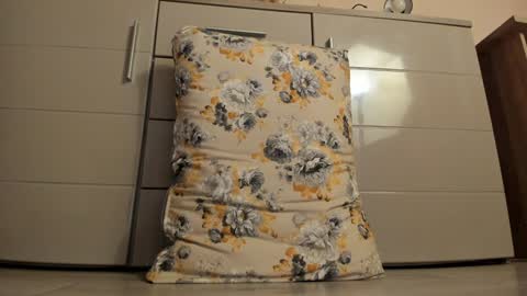 Snapshot of laracara chatting on December 2024 05:04:02 AM Lara online show from December 2024 05:04:02 AM