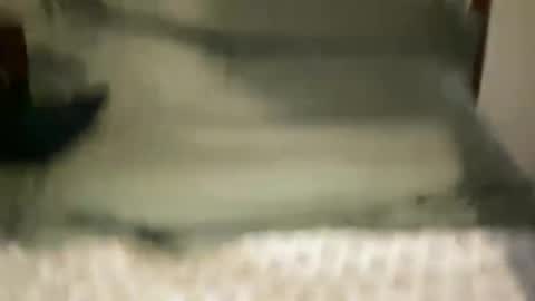 Snapshot of largecockkenny chatting on February 2026 07:03:02 PM HUNG YUNG STR8 online show from February 2026 07:03:02 PM