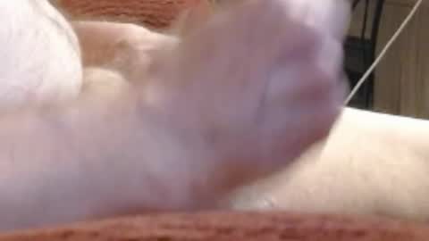 laststeven online show from December 2024 12:01:02 AM