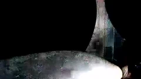 Snapshot of latexchris77 chatting on January 2026 07:55:01 AM latexchris77 online show from January 2026 07:55:01 AM