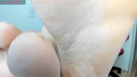 Snapshot of latin__curly chatting on December 2024 06:31:02 PM Afrodita online show from December 2024 06:31:02 PM